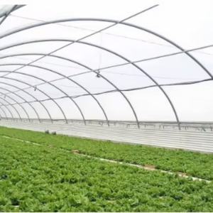 blue ocean durable Eco-Friendly Samples Available Green House <b>Sheeting</b> <b>Greenhouse</b> <b>Plastic</b> Cover film <b>for</b> agricultural garden use - Product Image 5