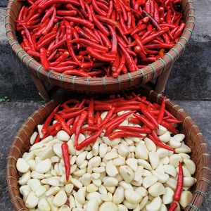 맞춤형 핫 소스 포장 및 조미료 향신료 혼합 지원 향신료 제조업체와 전문 요리 소스 - Product Image 4