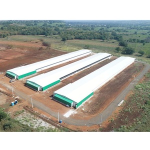 Spray de poulet automatique 2020, environnemental contrôlée par climatisation, entièrement conçu pour l'éclosion et les semences - Product Image 6