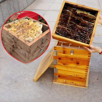 Verstärktes Fünfschichtiges Bienenstock-Set aus Getrocknetem Fichtenholz für Honigbienen in einer Imkerei-Box mit Wachsschmelzgrund