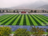 Gazon artificiel synthétique de 30 mm sans remplissage pour terrain de football
