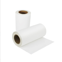 Film PET de transfert DTF 30cm/60cm, fourni directement par l'usine, taille personnalisable, échantillon gratuit, taux de transfert élevé, fournisseurs spécialisés