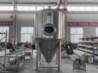 Cuve de Fermentation Conique Personnalisable de Haute Qualité 20BBL en Acier Inoxydable 304 de Qualité Alimentaire, Fermenteur Pressurisé pour Brasserie
