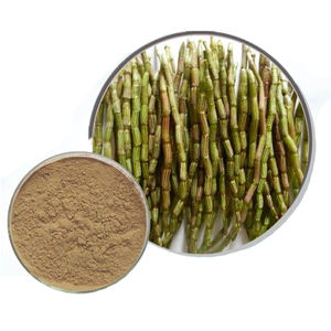 <span class=keywords><strong>Dendrobium</strong></span> <span class=keywords><strong>Extract</strong></span> <span class=keywords><strong>100%</strong></span> Natuurlijke <span class=keywords><strong>Dendrobium</strong></span> Officinale <span class=keywords><strong>Extract</strong></span> Poeder - Product Image 4