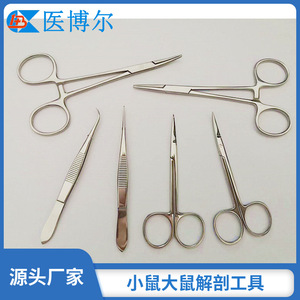 Tijeras y pinzas de disección para ratones de laboratorio, 10 cm, tijeras y pinzas de laboratorio y médicas de uso común, CE. - Product Image 4