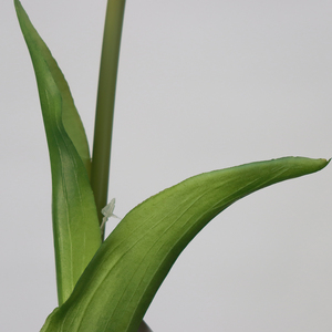 TG027 Wholesale Single Branch Real Touch <strong>Tulip</strong> <strong>Table</strong> Decorative Flowers Artificial Wedding Decorative Flowers - Product Image 4