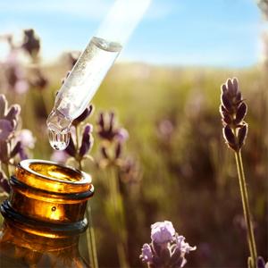 HL Mejor Búlgaro Lavandula Angustifolia <span class=keywords><strong>Oil</strong></span> Bulk Supplier,1Kg Pure Organic Lavender Essential <span class=keywords><strong>Oil</strong></span> para Skin Hair <span class=keywords><strong>Sleep</strong></span> Difusor - Product Image 3