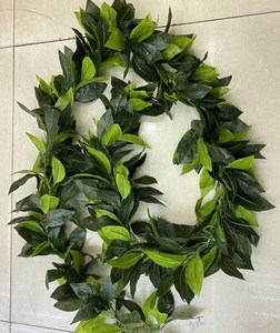 ใบไม้สีเขียว Lei พวงมาลัยฮาวายดอกไม้สีชมพูดอกไม้ Hula Hawaii สร้อยคอชุดแฟนซี - Product Image 1