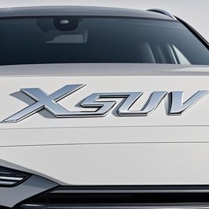 कस्टम 3 डी एब्स स्व-चिपकने वाली कार एम्बेड ओम/ओडम ऑटो बैज स्टिकर कारों के लिए 1 साल के लोगो वारंटी डिजाइन के साथ स्टिकर - Product Image 4