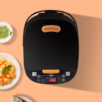 Cuisinière à riz mini 5L avec pot antiadhésif Fonction maintien au chaud 800W