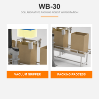 Robot d'emballage collaboratif WB-30, robot d'emballage de colis de 30 kg, robot de mise en carton, robot de préhension par ventouse, robot d'emballage de boîtes