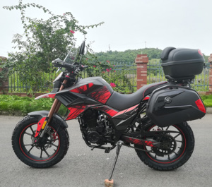 China 125cc 200cc <strong>250cc</strong> EEC <strong>Motorcycles</strong> FUEGO TEKKEN250 FUEGO <strong>Motorcycle</strong> Cheap for Sale 11190161 - Product Image 4
