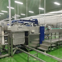 Ligne de dépalettisation à grande vitesse boîtes vides Machine de palettisation automatique Machine à emballer équipement de déchargement de panier de chargement