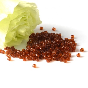 <span class=keywords><strong>Pas</strong></span> <span class=keywords><strong>cher</strong></span> <span class=keywords><strong>Miyuki</strong></span> <span class=keywords><strong>Perles</strong></span> De Rocaille Colorées <span class=keywords><strong>Perles</strong></span> Mentales En Gros - Product Image 4