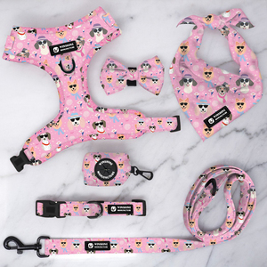 Accesorios de Lujo para Cachorros con Diseño de <span class=keywords><strong>Dachshund</strong></span>, Collar Personalizado para Perro, Conjunto de Arnés y Correa Personalizados para Mascotas - Product Image 5