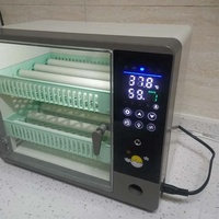 Incubateur à œufs mini certifié CE, machine à couver 24 œufs de poulet, canard, caille, oie