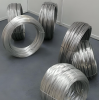 Fil galvanisé électrolytique de 0,45 mm, fil de fer galvanisé recouvert de zinc, fil galvanisé de 8 mm, fil de ligature galvanisé de 1,6 mm