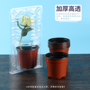 Boîte d'emballage pour plantes en pot Hst Pet, diamètre intérieur 245 mm, emballage en blister transparent en plastique pour fleurs et semis - Product Image 3