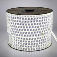 Lampu Strip LED Tahan Air IP67 110V 220V Ukuran 10mm Pilihan Multi-Warna untuk Lanskap & Dekorasi Luar Ruangan Smd2835