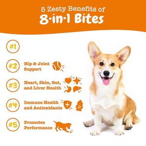 Friandises pour chiens, probiotiques, friandises molles, complément alimentaire pour animaux de compagnie, probiotiques, santé intestinale, friandises probiotiques pour chiens - Product Image 2