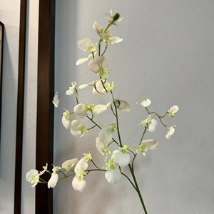 Orchidée jaune à longues tiges KW-F031, orchidée dansante d'automne pour la décoration <span class=keywords><strong>de</strong></span> mariage - Product Image 6