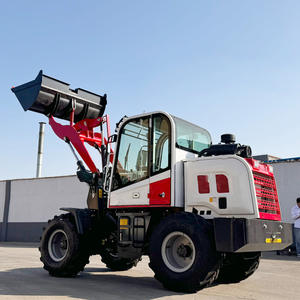 Vendita Diretta dalla Fabbrica Mini Pala Gommata per Allevamenti, Pala Articolata Diesel per Lavori di Terra e Costruzioni - Product Image 6