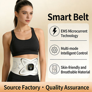 Portable EMS Waist Care Device Heated <b>Massage</b> Belt Personal Care Equipment - Product Image 1