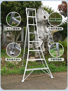 Échelles télescopiques modernes en alliage d'aluminium, échelles pliantes triangulaires droites portables pour <span class=keywords><strong>l</strong></span>'élagage <span class=keywords><strong>des</strong></span> vergers, <span class=keywords><strong>l</strong></span>'échelle à marches <span class=keywords><strong>de</strong></span> jardinage, <span class=keywords><strong>l</strong></span>'<span class=keywords><strong>horticulture</strong></span> - Product Image 6