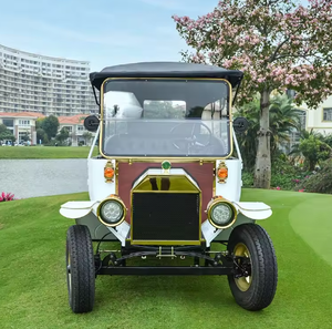 Carrito de Golf Clásico Retro de Dos Filas y 8 Asientos para 6 Personas, Modelo 2026, en Oferta, para Turismo - Product Image 4