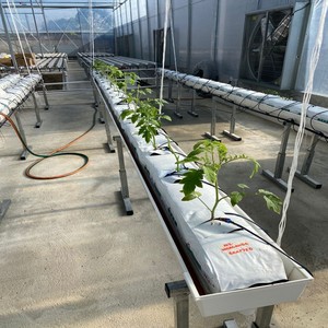 Canaleta de Cultivo Hidropónico de PVC, Presupuesto OEM para Proyecto de Fresas y Tomates, Obtenga un Precio de Solución Personalizada - Product Image 2