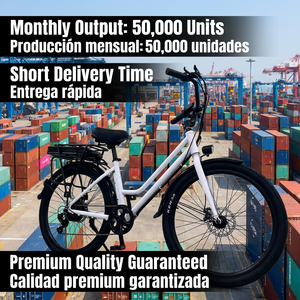 Bicicleta Eléctrica Urbana Cómoda para Adultos, Cuadro Bajo, 48V 350W, de Fábrica, Venta al Por Mayor - Product Image 6