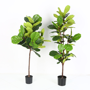 China fabricante de higo árbol <span class=keywords><strong>artificial</strong></span> de <span class=keywords><strong>eucalipto</strong></span> violín-Hoja de higo plantas artificiales - Product Image 2