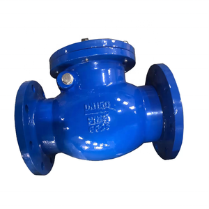 Válvula de Retención de Columpio de Hierro Dúctil GG50/GG25 con Brida DIN DN50 DN100 PN16 PN10 - Product Image 2
