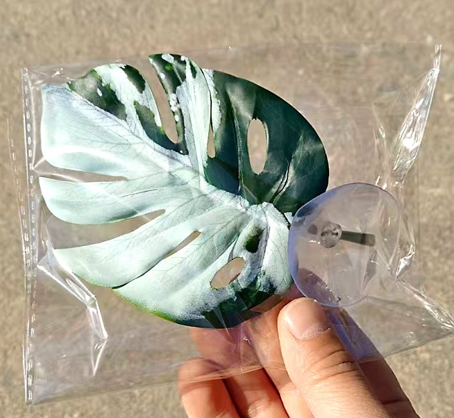 Whit green