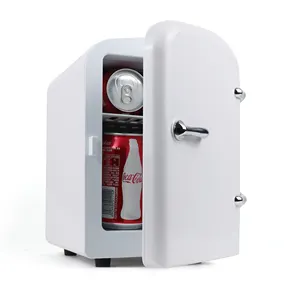 Fridge Factory Popular 4L Cosmetic Mini Bar Fridge Mini Cooler For Car