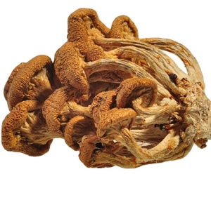 หัว Zi Gu Nameko เห็ดแห้งที่กินได้สำหรับอาหาร - Product Image 1