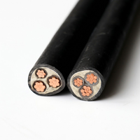 Câble d'alimentation souterrain N2XY YJV 3, 4 ou 5 conducteurs, 16mm, 25mm, 35mm, 95mm, 70 mm², en cuivre CU/PVC/XLPE avec bande d'acier