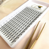 Extensions de cils en éventail de soie coréenne de qualité supérieure, prêtes à l'emploi, style naturel, courbure DD, faux cils