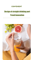 Fashion Design Oem 7.4V 6 Blades Oplaadbare Draagbare Blender Fruit Blender Draagbare Usb Met 550Ml Capaciteit