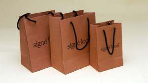 Bolsa de Papel Personalizada con su Propio Logotipo, Bolsa de Compras de Papel, Bolsa de Papel Kraft Marrón con Asas - Product Image 2