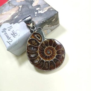 Venta al por mayor de fósiles de caracola natural, colgante de espécimen fósil de amonita arcoíris para collares de dijes - Product Image 6