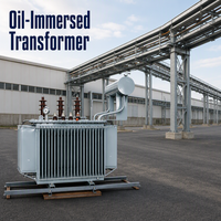 Transformateur de distribution triphasé immergé dans l'huile S11 30kVA 63kVA 80kVA 125kVA 6kV 10kV