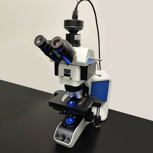 Microscope biologique Biobase 4X/10X/40X/100, microscope biologique inversé trinoculaire intelligent de laboratoire, microscope numérique à fluorescence - Product Image 2