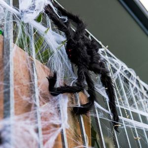 Accesorios Animados de Araña Peluda, Adornos de Halloween para Decoración de Exteriores, para Fiestas y Eventos, Venta al Por Mayor - Product Image 2