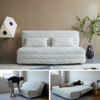 2027 Suessen Modernes Elektrisches Ferngesteuertes Ausziehbares Klappbares Sofa-Bett mit Automatischer Faltung für Wohnzimmer, Schlafzimmer & Fitnessraum