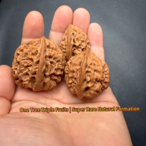 Nueces de nogal de forma especial triplemente unidas Wild Ox, adornos culturales coleccionables y regalos de negocios, arte oriental <span class=keywords><strong>para</strong></span> la punta de los dedos - Product Image 3