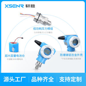 Transmetteur de pression sans fil XSENR PCM900W 4G NB-IoT à montage sur filetage, capteur intelligent, niveau de précision 0,25 - Product Image 2