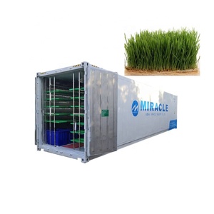 <strong>Shipping</strong> <strong>Container</strong> Type High Output <strong>Hydroponics</strong> Fodder Farm <strong>Container</strong> for Poultry Industry - Product Image 6