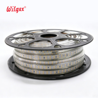 Bande LED étanche IP65 double rangée 40m 7x17mm 180 LED/m Fil doré pur découpable 50cm 220V Garantie 5 ans Aménagement paysager