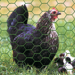 Grillage en PVC vert pour volailles, maille de 0,6-2,0 mm, maille de 1 pouce, largeur de 0,5-2 m, pour cages à lapins, clôtures de ferme, vente en gros - Product Image 6